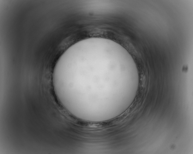 X0000103400753200809120923