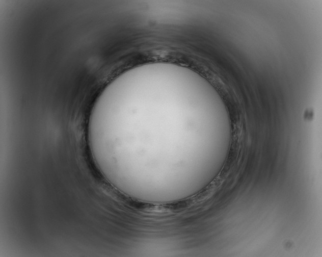 X0000103400754200809120923
