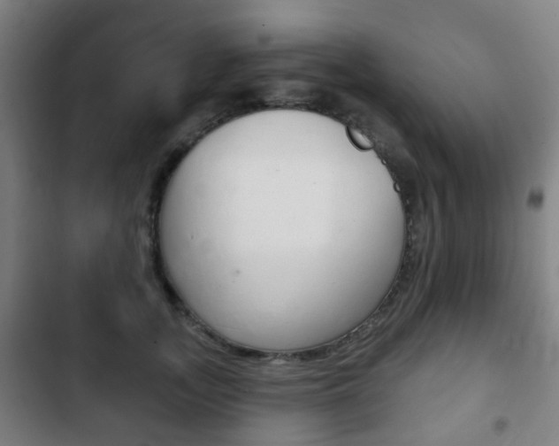 X0000103400755200809120923