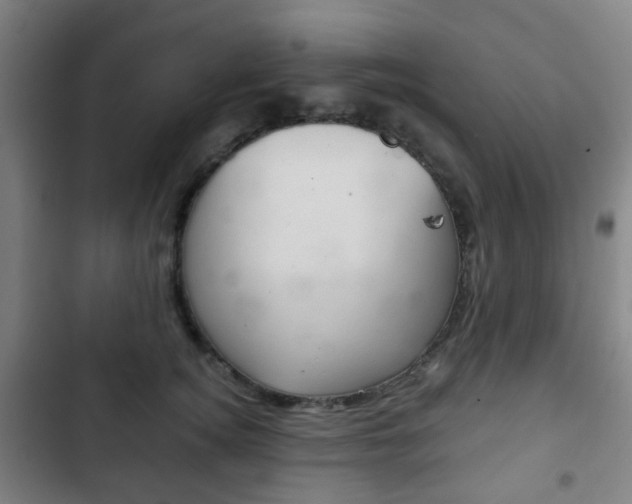 X0000103400756200809120923