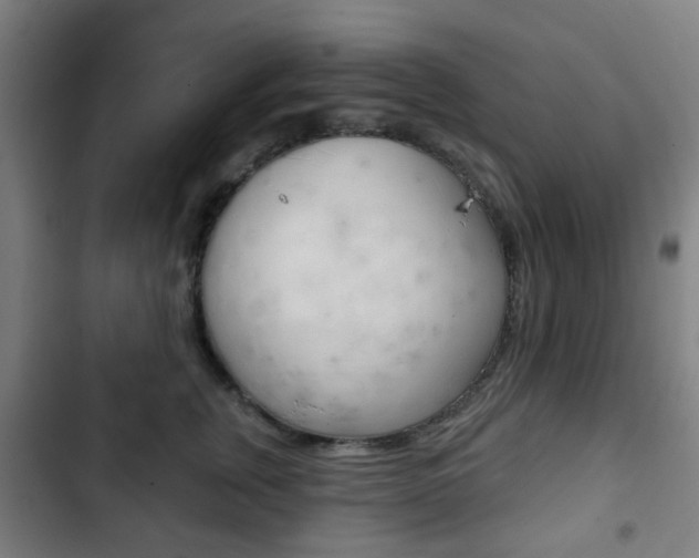 X0000103400759200809120924
