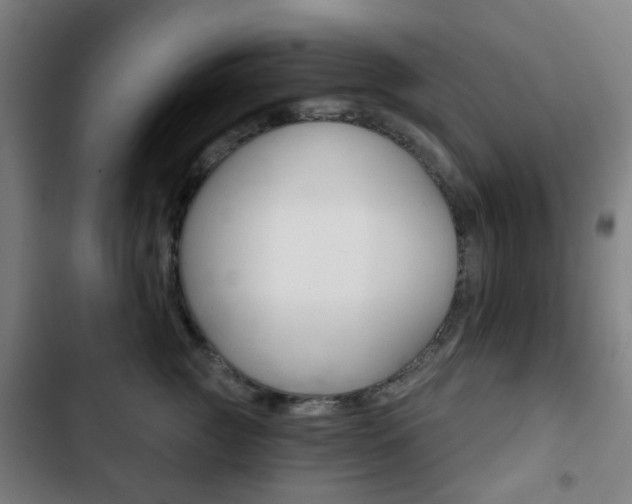 X0000103400761200809120924