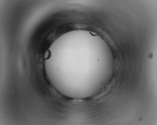X0000103400762200809120924