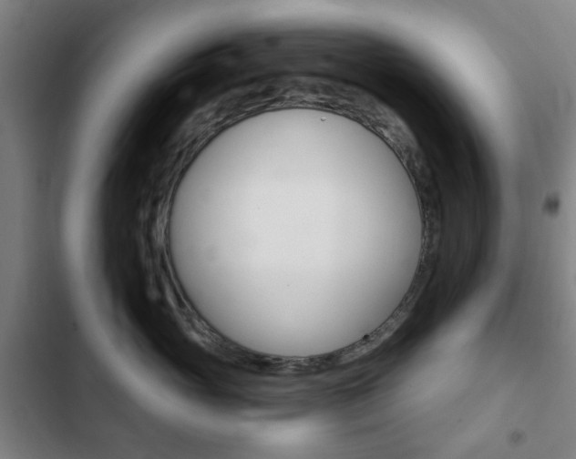 X0000103400765200809120924