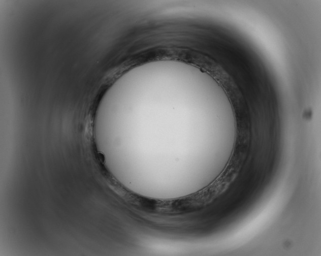 X0000103400766200809120924