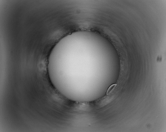 X0000103400768200809120924