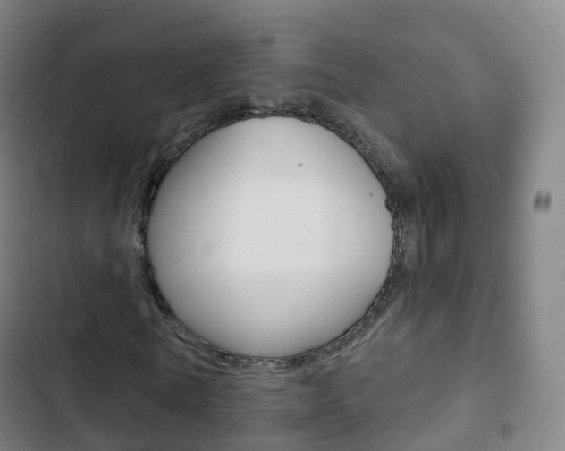 X0000103400770200809120923