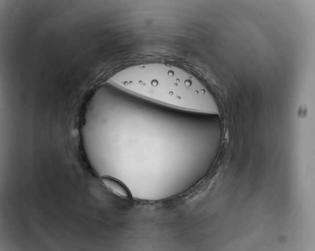 X0000103400771200809120923