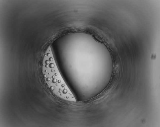 X0000103400772200809120923