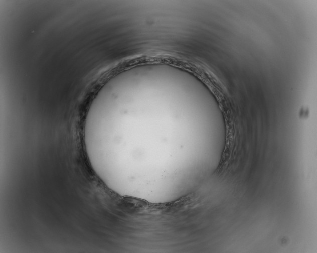 X0000103400773200809120923