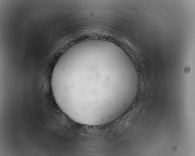X0000103400774200809120923