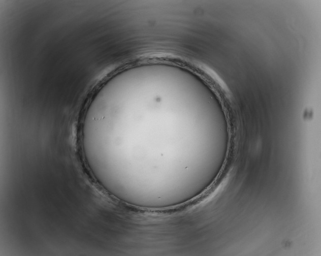 X0000103400777200809120923