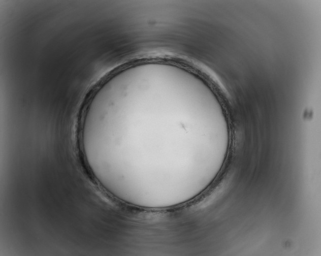 X0000103400778200809120923