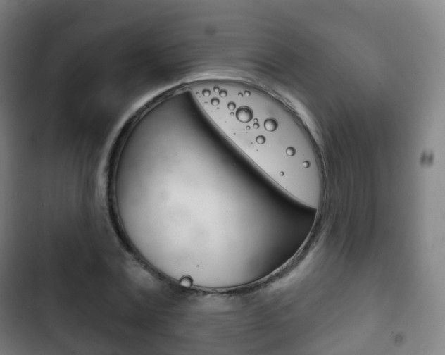 X0000103400779200809120923