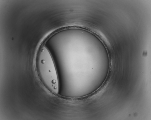 X0000103400780200809120923