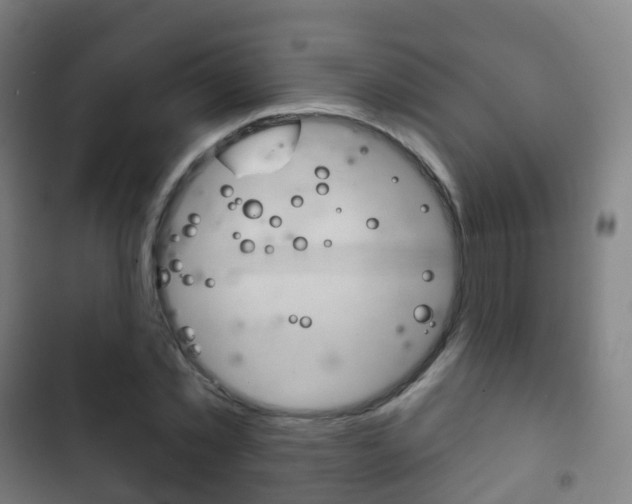 X0000103400781200809120923