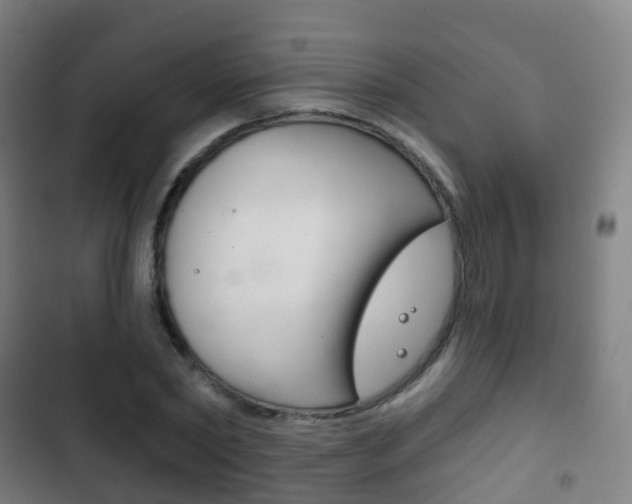 X0000103400782200809120923