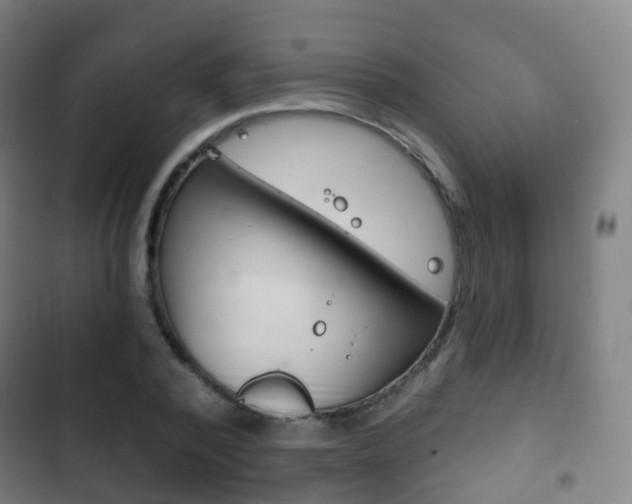 X0000103400784200809120923