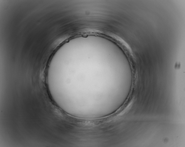 X0000103400785200809120923