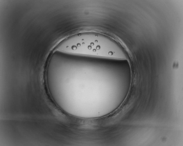 X0000103400786200809120923