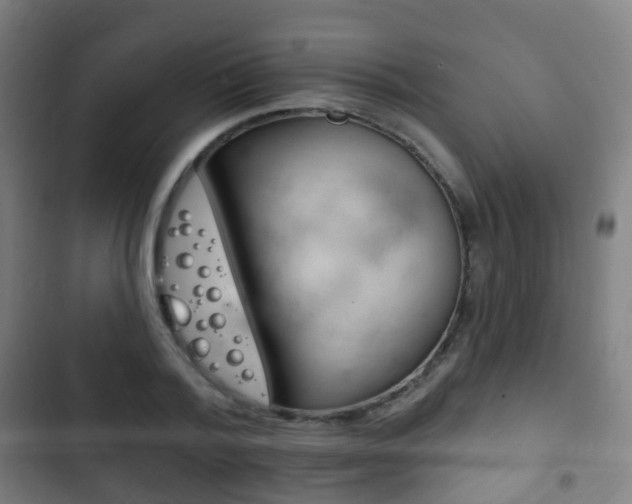 X0000103400788200809120923