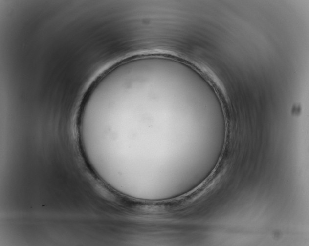X0000103400789200809120923