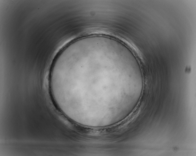 X0000103400790200809120923