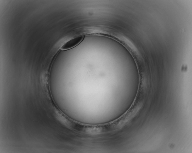 X0000103400793200809120922
