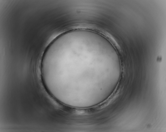 X0000103400794200809120922