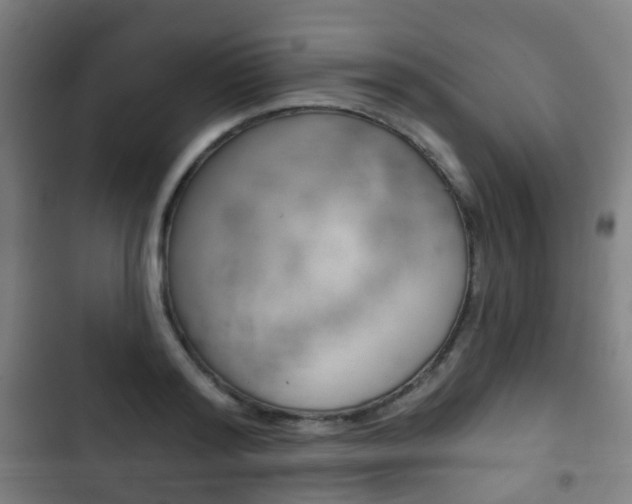 X0000103400796200809120922