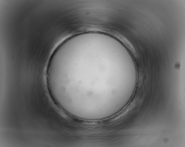 X0000103400798200809120922