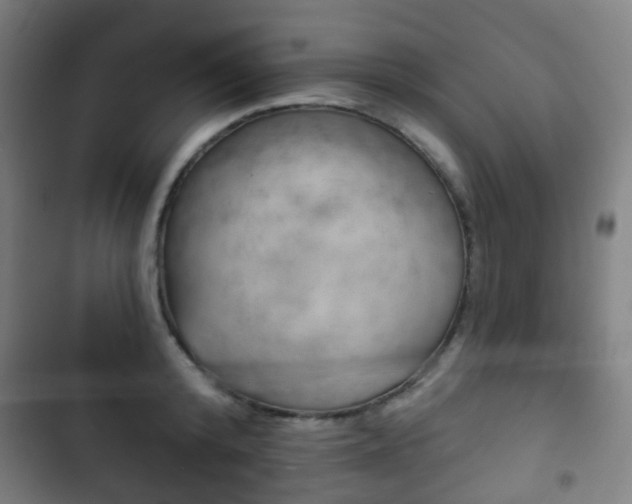 X0000103400800200809120922
