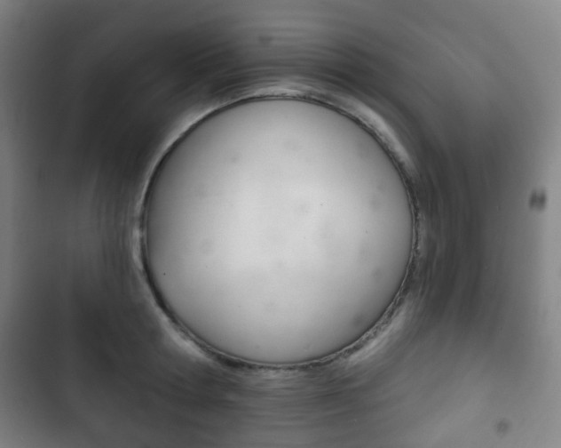 X0000103400802200809120922