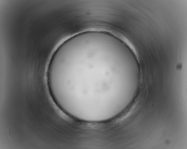 X0000103400803200809120922