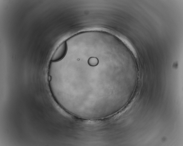 X0000103400805200809120922