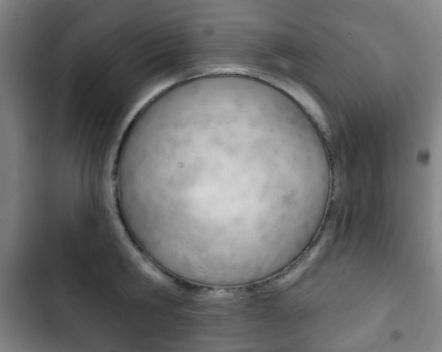 X0000103400806200809120922