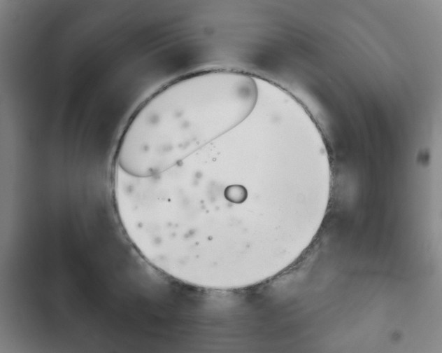 X0000103400807200809120922
