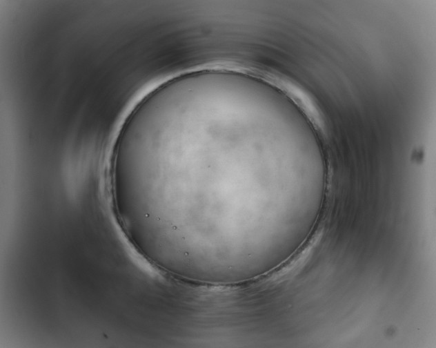 X0000103400808200809120922