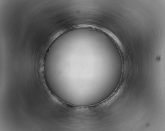 X0000103400809200809120922