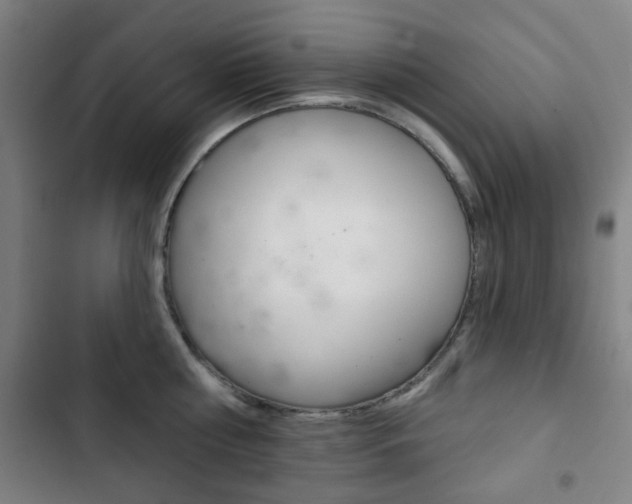 X0000103400810200809120922