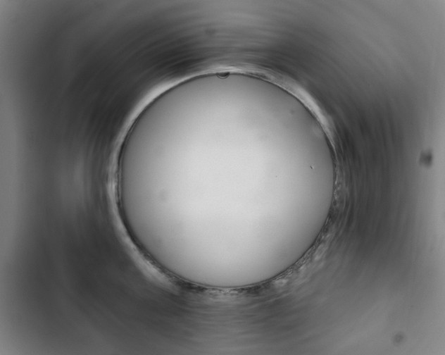 X0000103400811200809120922