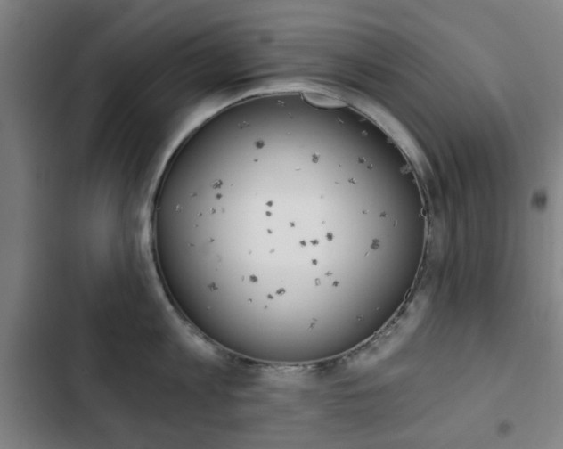 X0000103400813200809120922