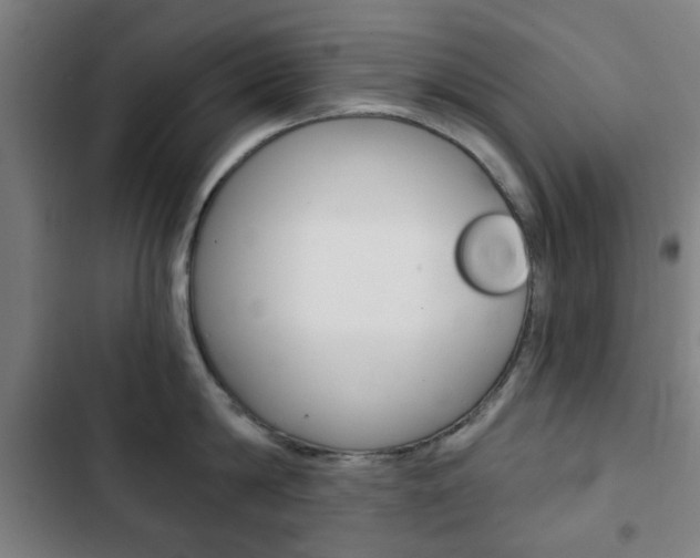X0000103400814200809120922