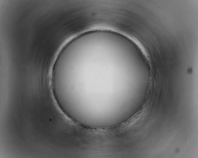 X0000103400815200809120922