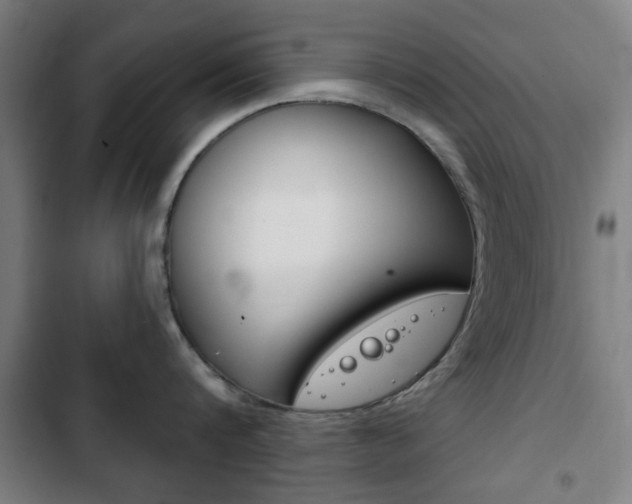 X0000103400816200809120922