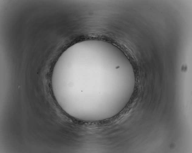 X0000103400817200809120921