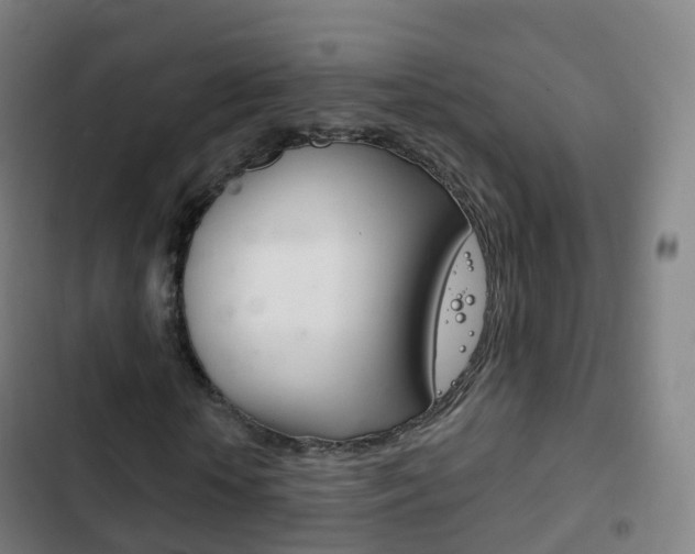X0000103400818200809120921