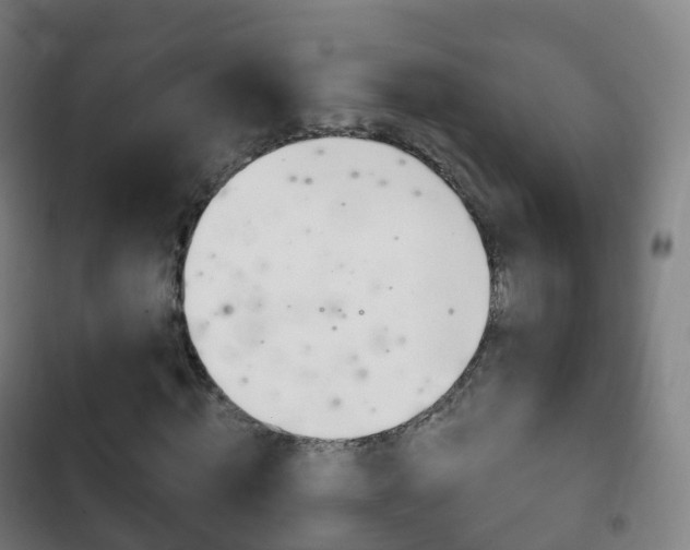 X0000103400820200809120921