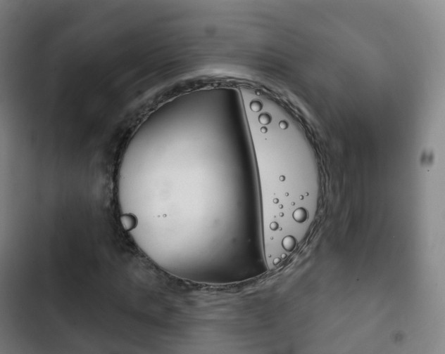 X0000103400821200809120921