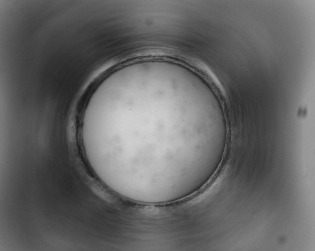 X0000103400827200809120921